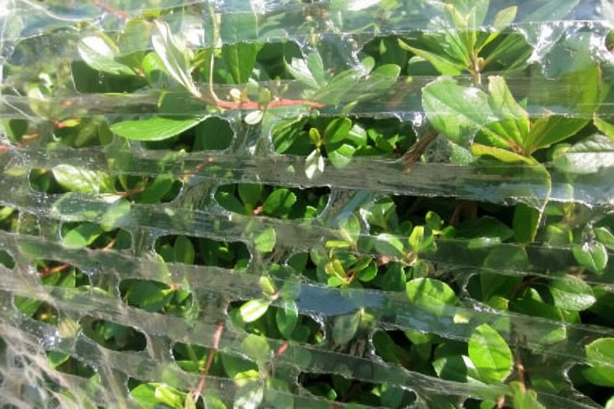 Airflow Vented Stretch Film for Plants