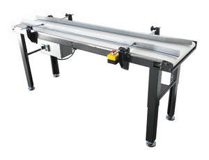 Belted Infeed Conveyor