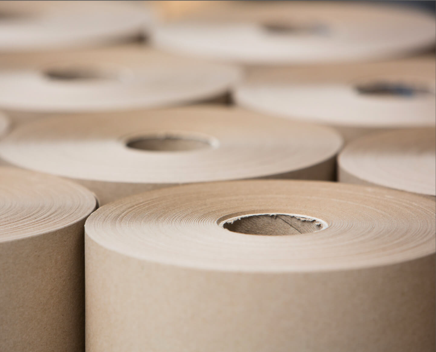 The tops of multiple rolls of kraft packing paper stacked side by side.